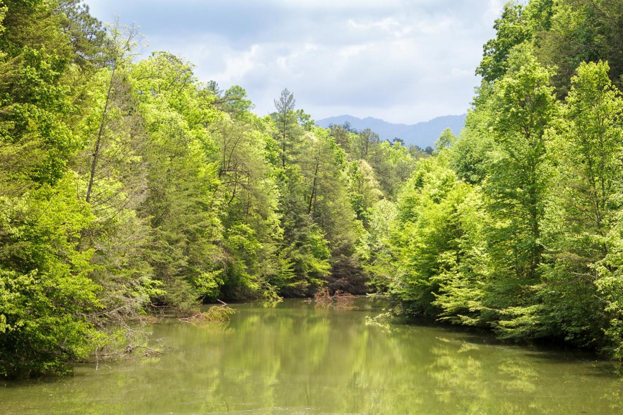 Love Leigh By Stony Brook Cabins Gatlinburg Exteriör bild